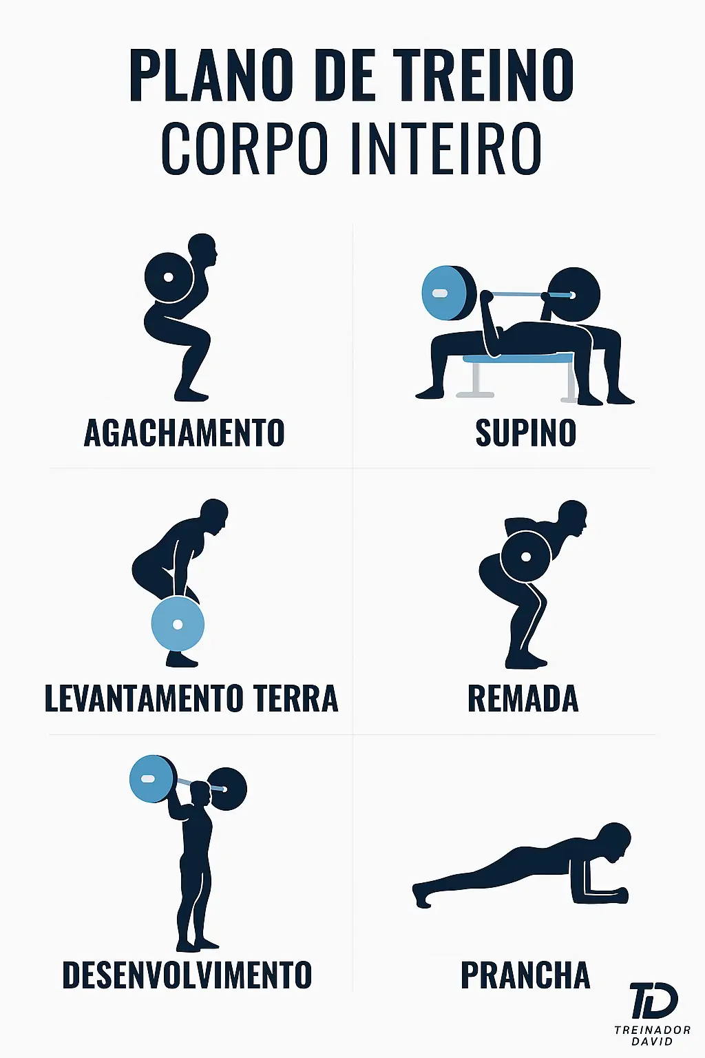 Treino de Força Para Iniciantes: Como Começar Certo 5 Infográfico Mostrando Divisão De Treino Full Body Com Os 6 Exercícios Fundamentais