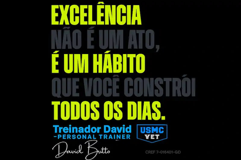 Frase Motivacional - Excelencia- Padrao